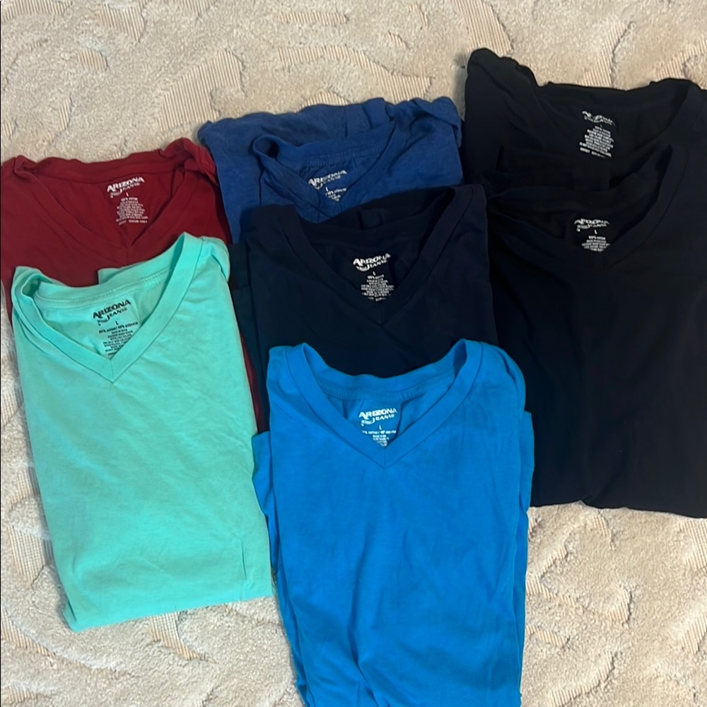 Assorted Color Men’s V-Neck T-Shirts